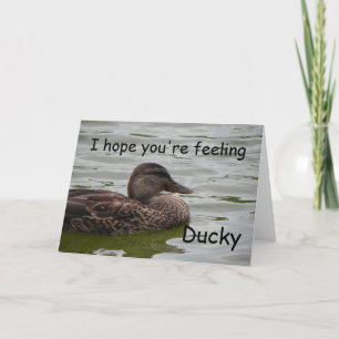Känning Ducky Kort