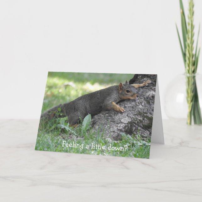Känns det lite nedåt? Cute Squirrel Kort (Framsida)