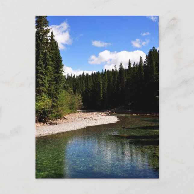 Kano Meadows Kananaskis Foto Vykort (Framsida)