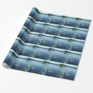 Kanota gränsen bevattnar v.1 presentpapper