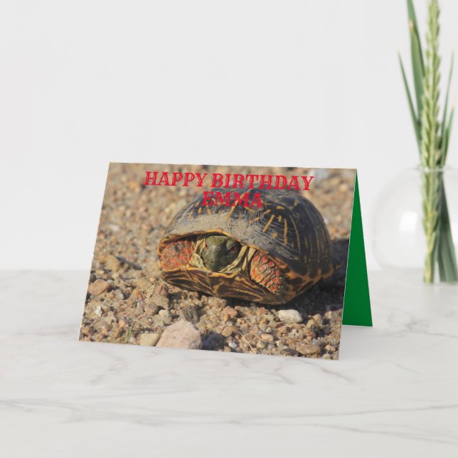 Kansas Box Snäcka Turtle Birthday Greeting Card Kort (Framsida)