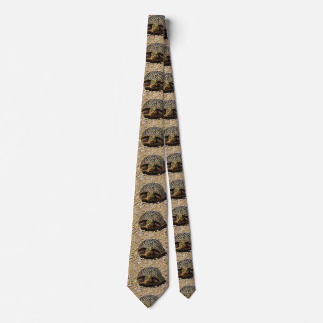 Kansas Box Snäcka Turtle TIE! Slips (Framsida)