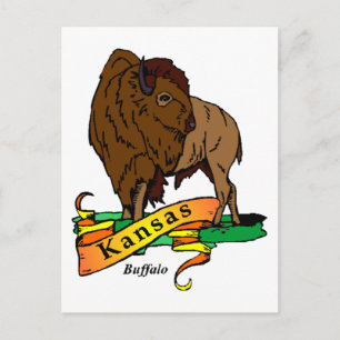 Kansas Buffalo Vykort
