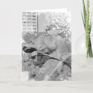 Kansas City Plaza Horse Black and White Kort