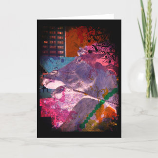 Kansas City Plaza Horse Fontän Kort