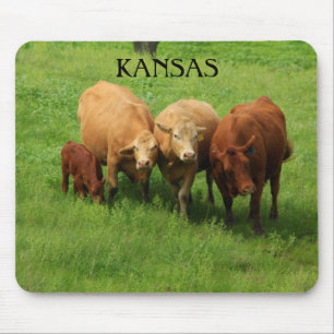 Kansas Cow är i en grönt Mouse Pad Musmatta