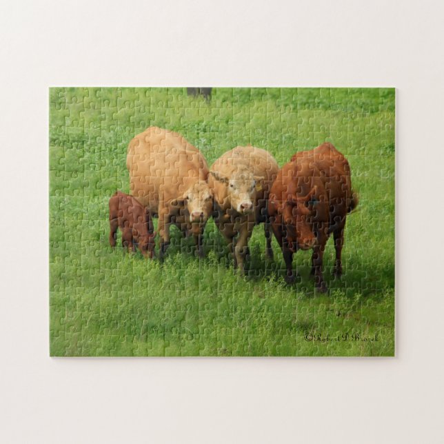 Kansas Cows in a Pasture PUZZLE Pussel (Horisontell)