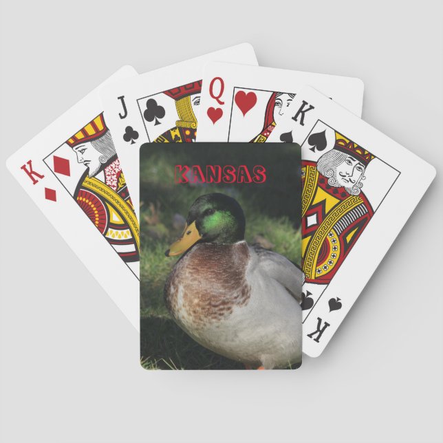 Kansas Drake Mallard-stödkort Kortlek (Baksidan)