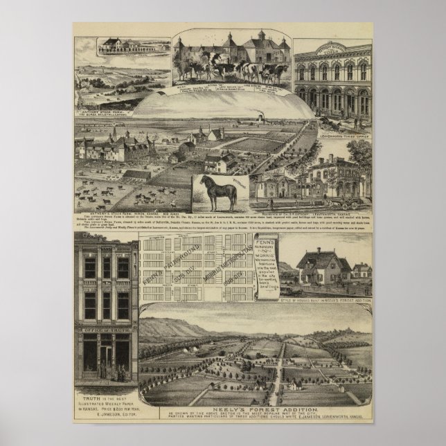 Kansas Farms Poster (Framsidan)