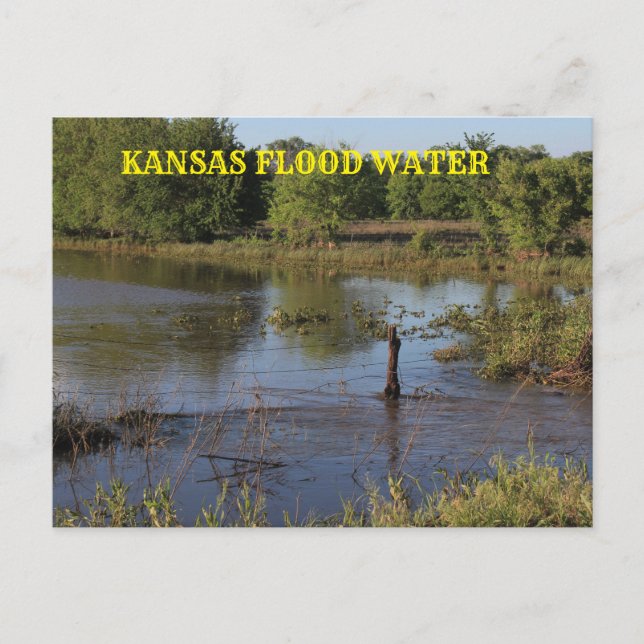Kansas Flood vatten på en gård fält.Post Card. Vykort (Framsida)