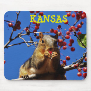 Kansas Fox Svan Squirrel Mouse PAD Musmatta