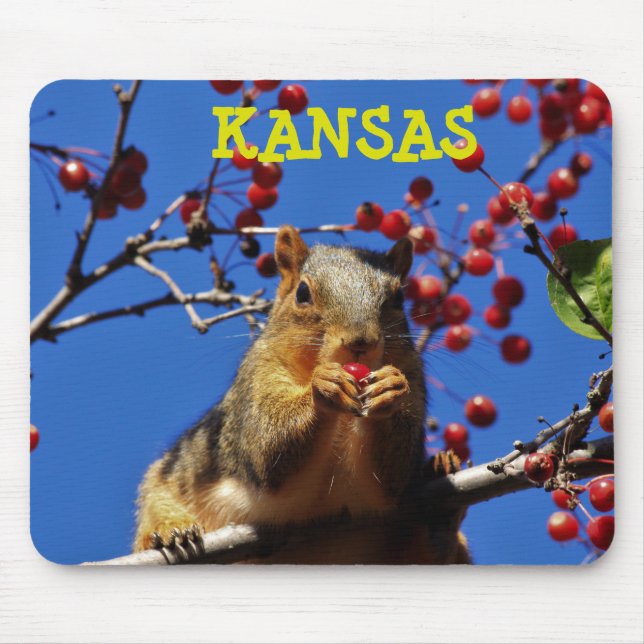 Kansas Fox Svan Squirrel Mouse PAD Musmatta (Framsidan)