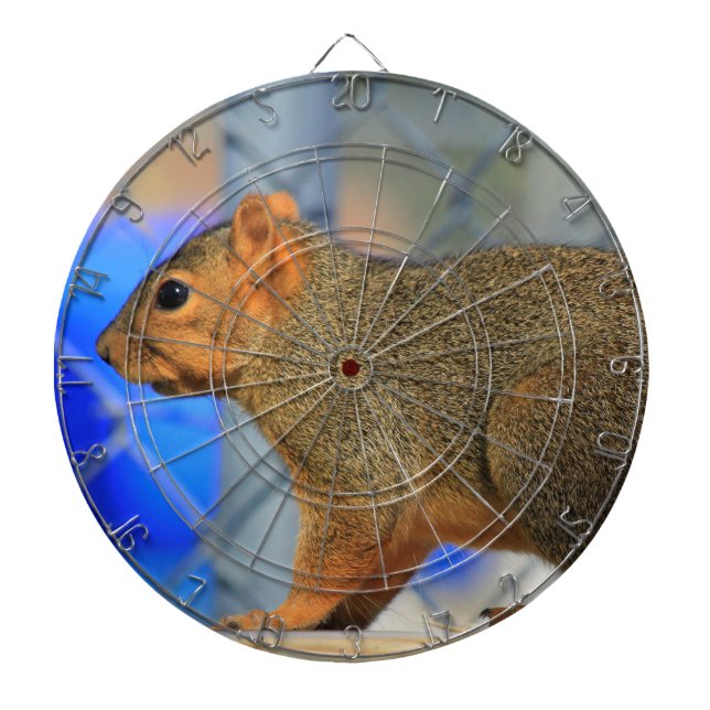 Kansas Fox Svan Squirrel ProfiedInk Dart Board Darttavla (Framsidan)