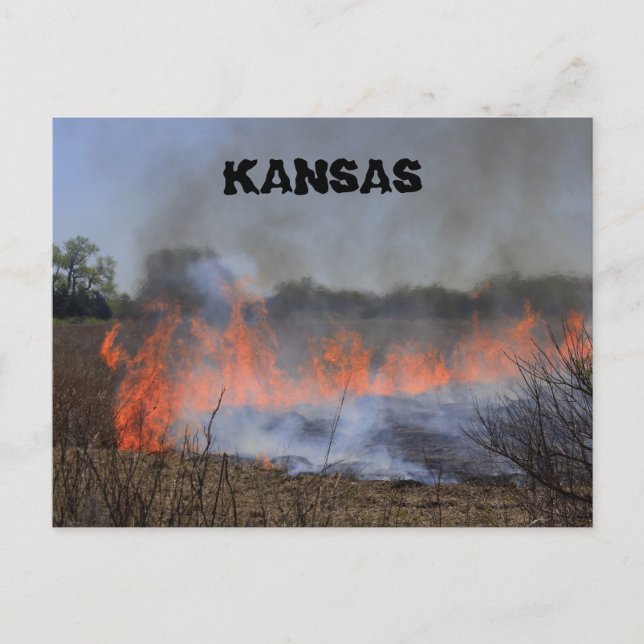 Kansas Grass Burning for New Plant Life Post Card Vykort (Framsida)