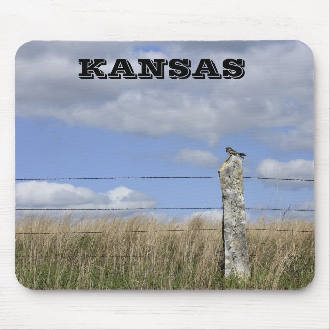 Kansas Hawk på en kalkstensbur PAD Musmatta (Framsidan)