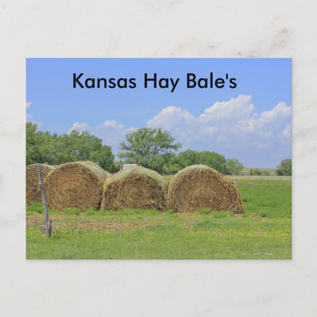Kansas Hay Bale's Post Card Vykort (Framsida)