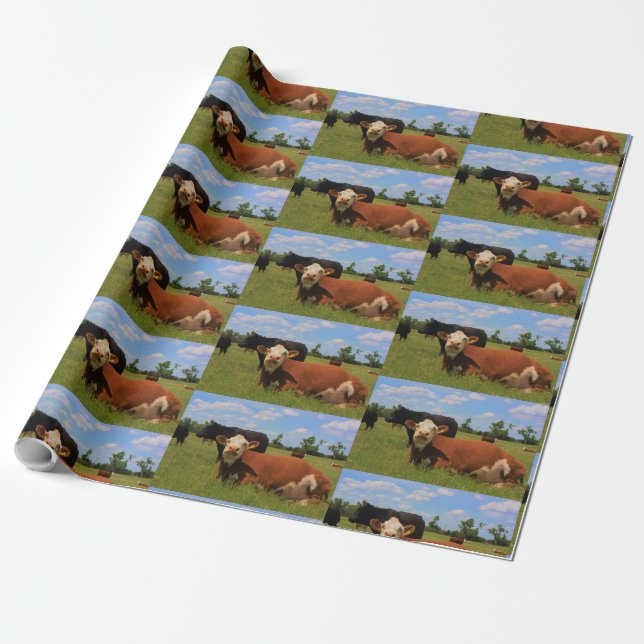 Kansas Hereford Ko Wrap Papper Presentpapper (Utrullad)