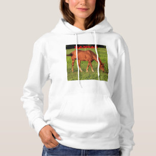 Kansas Horse i en pasture Womans Hoodie T Shirt