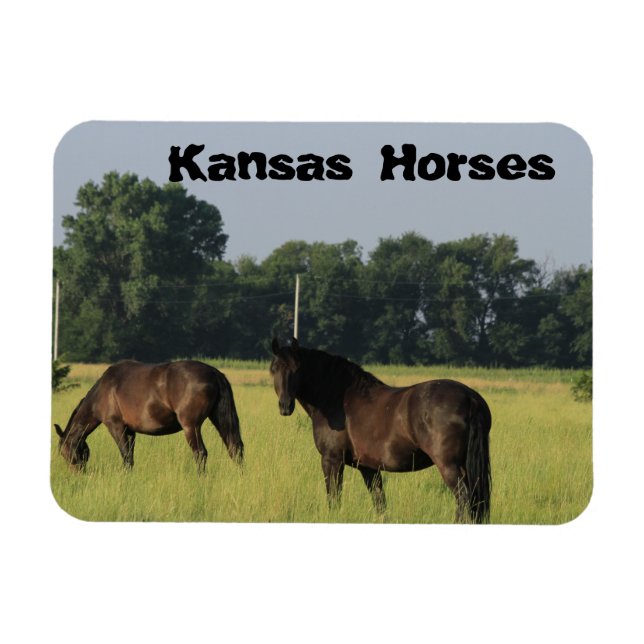 Kansas Horses på bete Magnet (Horisontell)