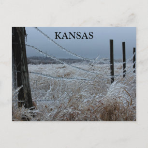 Kansas Ice på stängslet Vykort