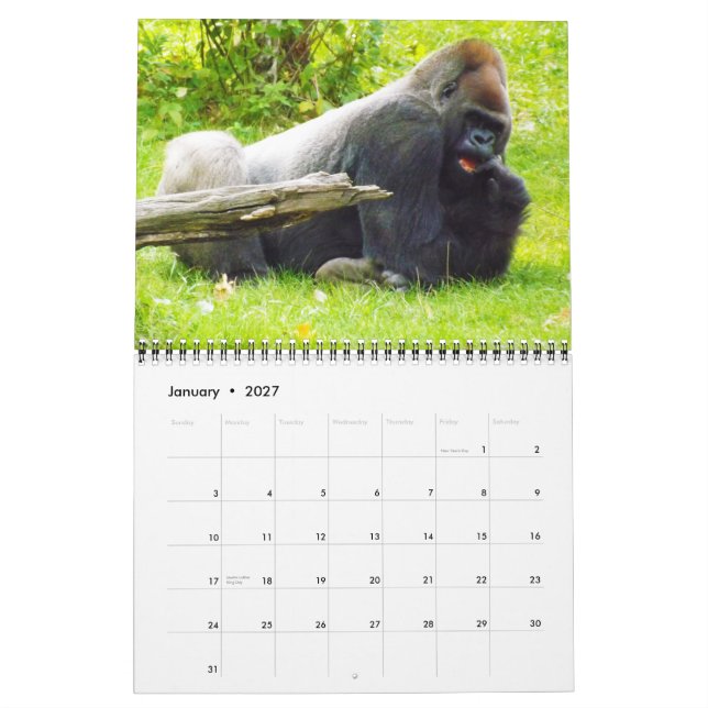 Kansas kommun i Gorillas Kalender (Jan 2027)