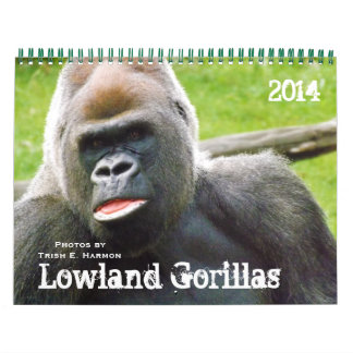 Kansas kommun i Gorillas Kalender