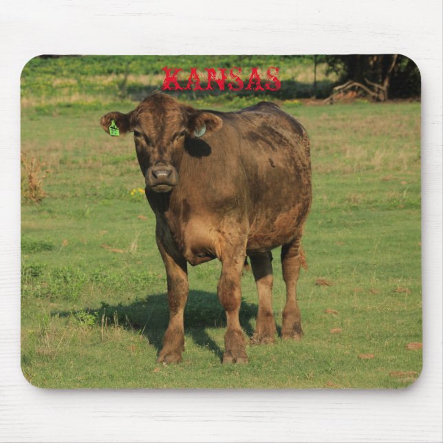 Kansas Land Cow Musmatta (Framsidan)