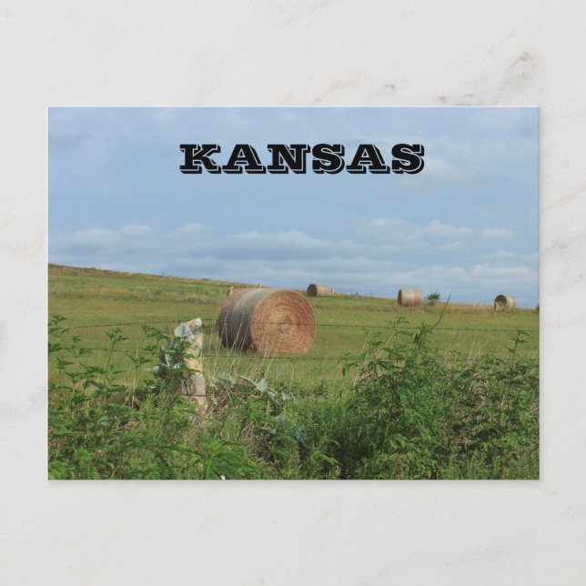 Kansas Land Hay Bale i ett fält-postkort Vykort (Framsida)
