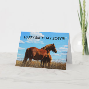 Kansas Land Horses Birthaily Card Inbjudan