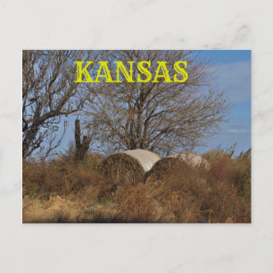 Kansas Land liggande vykort. Vykort