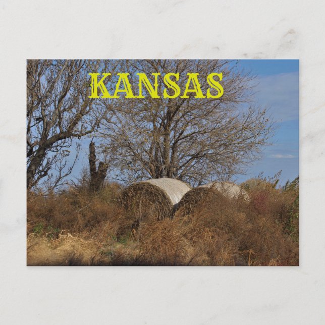Kansas Land liggande vykort. Vykort (Framsida)