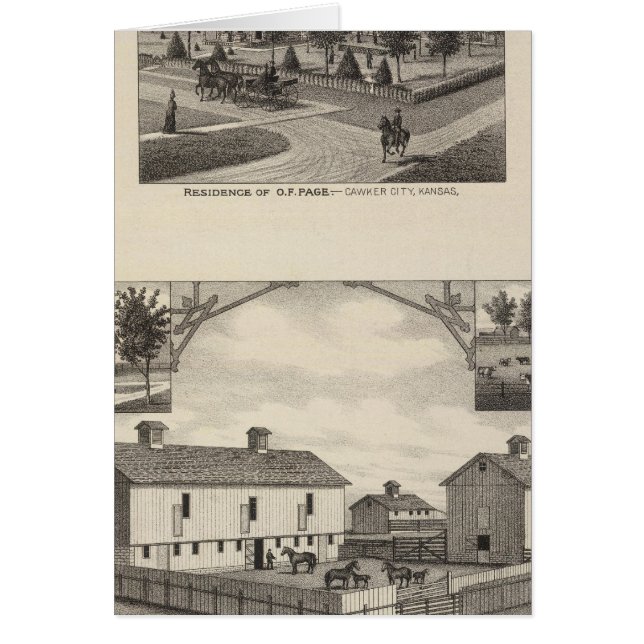 Kansas Live Lagrar County i Cawker City Hälsningskort (Framsidan)