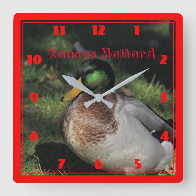 Kansas Mallard Square Wall Clock Fyrkantig Klocka (Framsida)