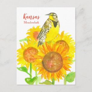 Kansas Meadowlark Sunblommor Vykort