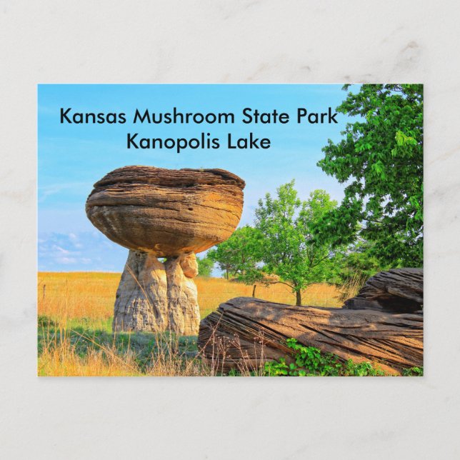 Kansas Mushroom State Park Kanopolis POST-kort Vykort (Framsida)
