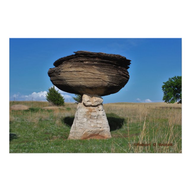 Kansas Mushroom Sten i ett betesfoto/Poster Fototryck (Framsidan)