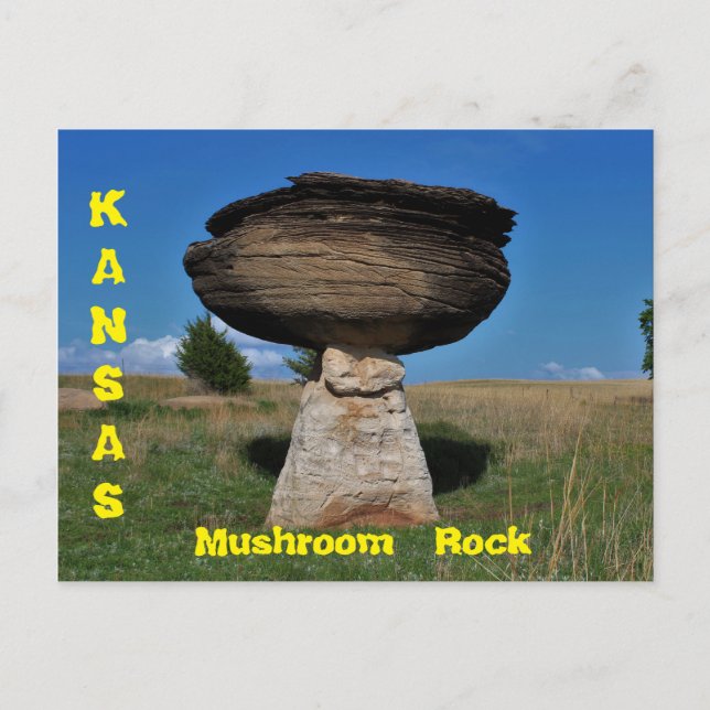 Kansas Mushroom Sten Park-kort Vykort (Framsida)