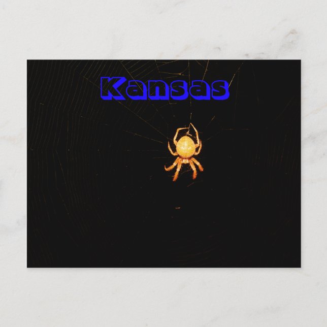 Kansas Orb Vävare Spindel Postkort Vykort (Framsida)