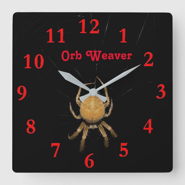 Kansas Orb Weaver Square Clock Fyrkantig Klocka (Framsida)