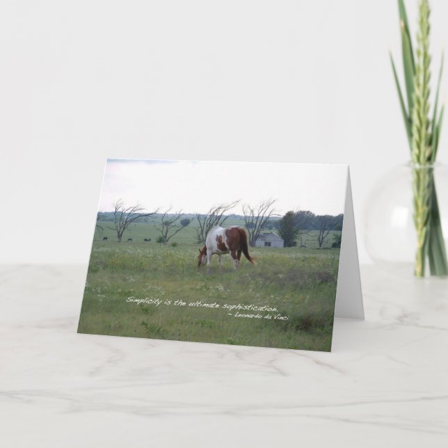 Kansas Paint Horse Kort (Framsida)