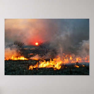 Kansas Prairie Burn vid Sunset Poster