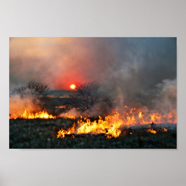 Kansas Prairie Burn vid Sunset Poster (Framsidan)