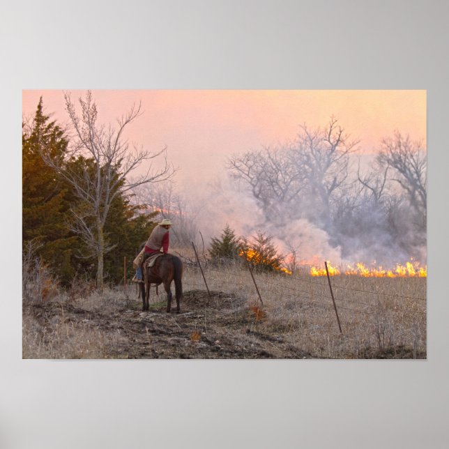 Kansas Rancher som tittar på en kontrollerad präri Poster (Framsidan)