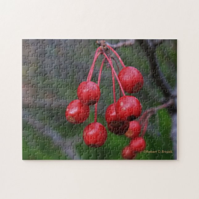 Kansas Red Berries closeup Puzzle Pussel (Horisontell)