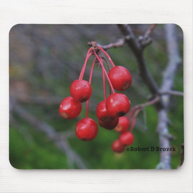 Kansas Red Berries sköt closeup Mouse Pad Musmatta (Framsidan)