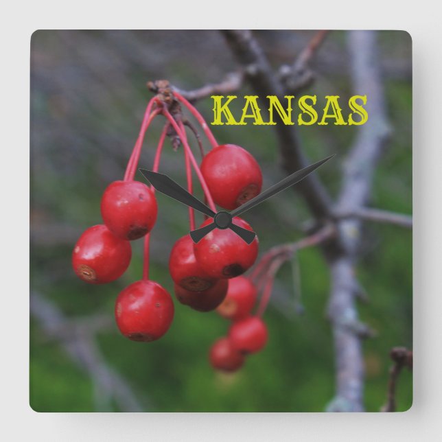 Kansas Red Cherry's closeup Square Wall Clock Fyrkantig Klocka (Framsida)