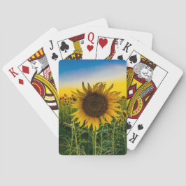 Kansas solfältsområde casinokort