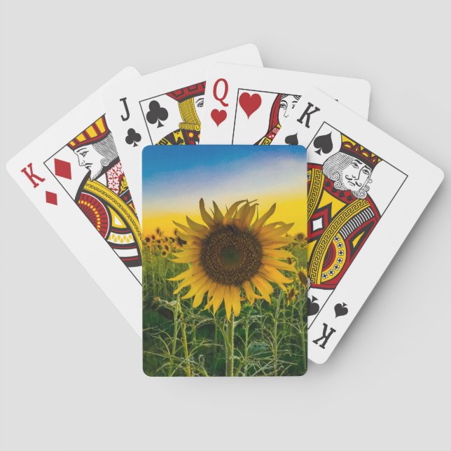 Kansas solfältsområde casinokort (Baksidan)