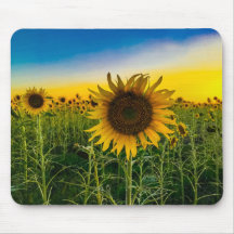 Kansas solfältsområde