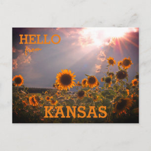 Kansas Solros Hälsning Vykort